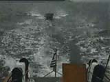 The Whaler
